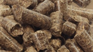 Küresel yem üretimi 1,44 milyar tona çıktı