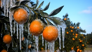 Meteoroloji: Kuvvetli yağış ve zirai don riski var