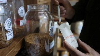 Muğla’nın Ata Tohumları Türkiye’nin 81 İline Umut Oldu