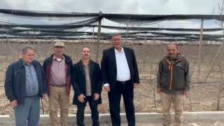 Niğde Elma Üreticisinden TARSİM İsyanı: Yüzde 50'sini Ödüyor!