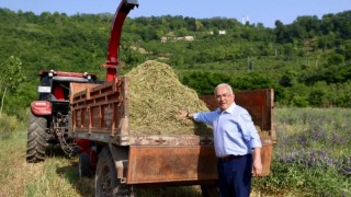 Ordu BB: 34 bin dekar atıl arazi tarıma kazandırıldı