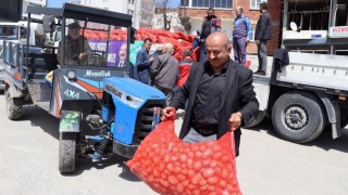 Ordu Büyükşehir 6 İlçede 45 Ton Patates Tohumu Dağıttı