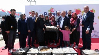 Pozantı’da çilek üretimi destekle büyüyor