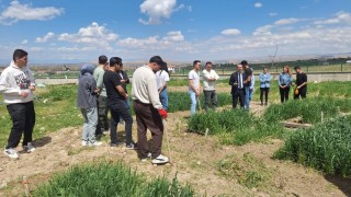 Prof. Dr. Yaşar Karadağ Tahıl Deneme Alanlarını İnceledi