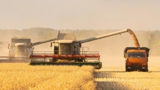 Rosstat: Rusya’da Buğday Fiyatı Yıllık %18,3 Düştü