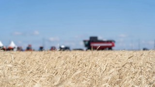 Türkiye Rusya’dan Buğday İthalatını 6 Milyon Tonun Üzerine Çıkardı