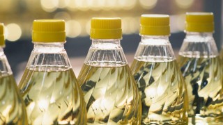 Rusya ayçiçek yağı ihracat vergisi 3,5 kat düşürdü