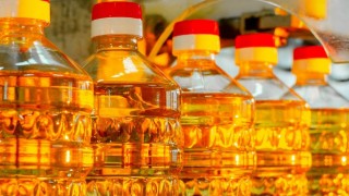 Rusya Hükümeti Ayçiçek Yağı Baz İhracat Fiyatlarını Artırdı