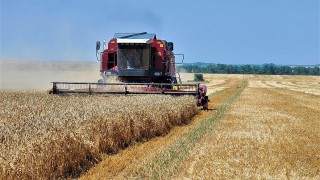 Rusya Tarım Bakanlığı buğday vergisini sıfır tuttu