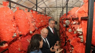 Samsun’da istiridye mantarı ve kurutma tesisi incelendi