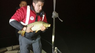 Samsun’da kaçak ağda yakalanan sazanlar suya bırakıldı