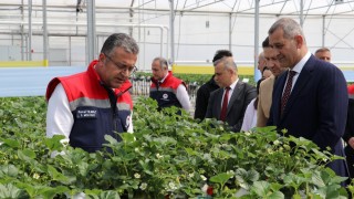 Samsun’da modern tarım yatırımları büyüyor