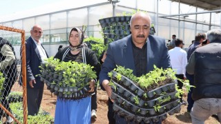 Şanlıurfa’da Çiftçiye 1 Milyon Ücretsiz Fide Desteği