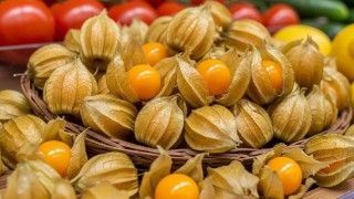 “Sarı mucize”de dikkat çeken fiyat!