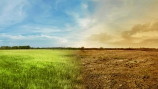 SKD Türkiye, Tarımda Dönüşüm İçin İş Dünyasını Uyardı