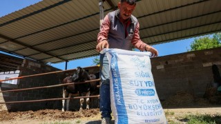 Son Dakika... Küçük Üreticilere Yem Hibesi Desteği