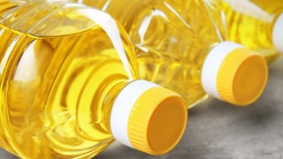 Spike: Ukrayna Ayçiçeği Fiyatı 744 Dolara Yükseldi