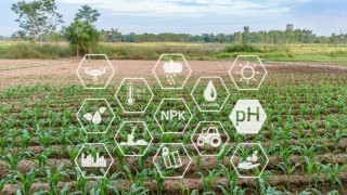 Tarım Bakanlığı Kırsal Kalkınma İçin Yeni Destek Programını Açıkladı