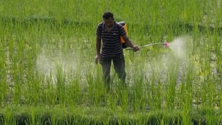 Tarım ilaçlarına maruz kalmak kanser riskini artırıyor