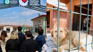 Tekirdağ’da Sahipsiz Hayvan Bakımevi Genişledi