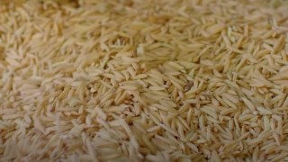 Toprak Mahsulleri Ofisi: Pirinç Satışı İddialarını Yalanladı