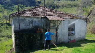 Trabzon Büyükşehir 20 Personelle Kahverengi Kokarca Avında