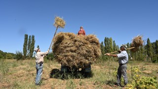TÜİK Açıkladı: Mart Ayında Tarım-ÜFE Yıllık Yüzde 36,09 Arttı