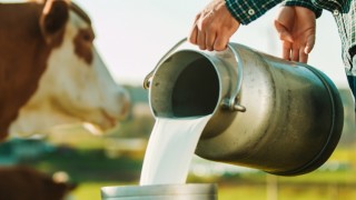 Ulusal Süt Konseyi çiğ süt fiyatını 24,30 TL olarak açıkladı