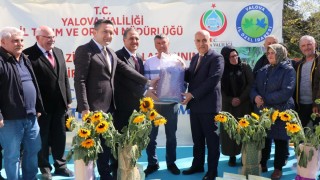 Yalova’da üreticilere ayçiçeği ve fasulye tohumu dağıtıldı