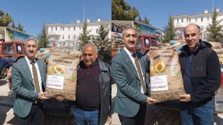 Yozgat’ta 169 üreticiye %75 hibeli ayçiçeği desteği