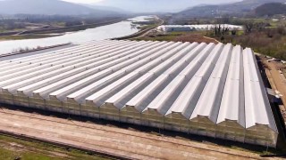 Yumaklı: Çaycuma Sera OTB’de üretim başladı