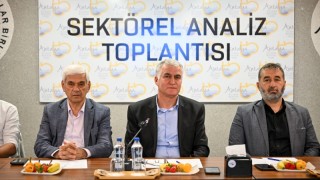ATB: Antalya'da Buğday Rekoltesinde Yüzde 25 Artış Bekleniyor