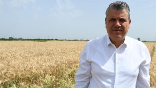 CHP'li Ayhan Barut: Buğday Alım Fiyatı En Az 25 Lira Olmalı
