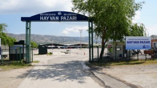 Eskişehir’de Kurban Pazarı İçin Başvuru Süreci Başladı