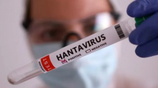 Kars VHO Başkanı Ödül: Türkiye’de Hantavirüs Vakası Yok