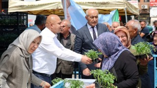 Kırıkkale Belediyesi Cumhuriyet Meydanı'nda 500 Bin Fide Dağıttı