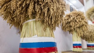 Küresel Tahıl Piyasalarında Hareketlilik: Uzmanlar Buğday İhracatında Yeni Bir Artış Dönemi Bekliyor!