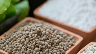 MMI: Hürmüz tıkanıklığı Rus gübre fiyatlarını %20 artırdı