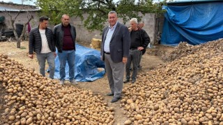 Niğdeli patates üreticisi isyan etti: 2 trilyon zararım var