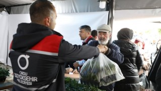 Ordu Büyükşehir Belediyesi 300 Bin Yazlık Fide Dağıtıyor