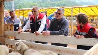 Samsun İl Tarım Müdürlüğü Kurbanlık Alacakları Uyardı