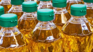 SUNSEEDMAN: Türkiye, Arjantin'den Gelen İki Ayçiçeği Gemisini Reddetti