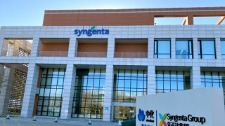 Syngenta Group, 2026’nın ilk çeyreğinde satış ve kârlılığını artırdı