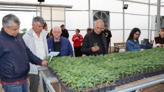 TBB Tarım Komisyonu Şanlıurfa'da üretim sahalarını gezdi