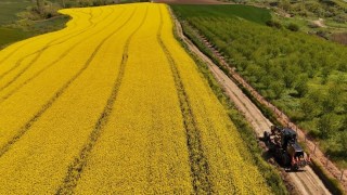 Tekirdağ Büyükşehir’den Tarla Yollarında Hasat Mesaisi