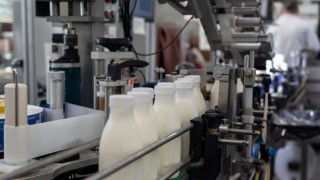 TÜİK: Martta İçme Sütü Üretimi Yüzde 10,5 Arttı