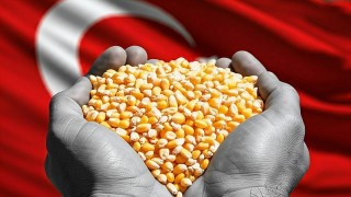 Türkiye mısır ithalat kotasının yüzde 20’sini kullandı