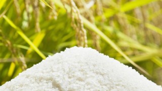 USDA: Küresel pirinç üretimi 11 yıl sonra ilk kez düşecek