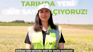 Ankara Gölbaşı’nda alternatif tarım: Karabuğday toprakla buluştu