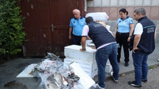 Antalya Büyükşehir Belediyesi Otogarda Kaçak Balık Yakaladı